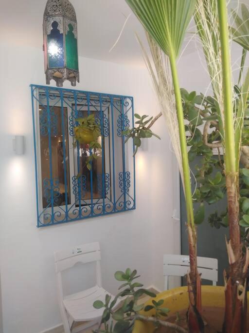 Cosy Appartement In "Sidi Bou Said" エクステリア 写真